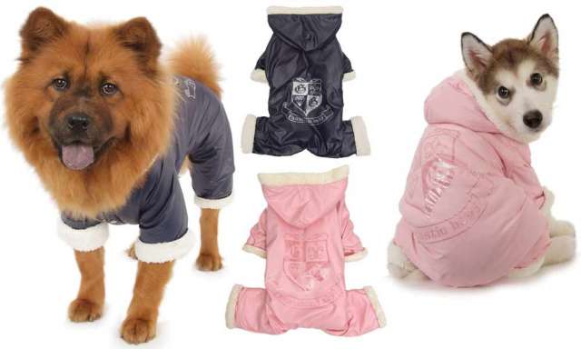 GlamDog.Ru - Интернет-магазин элитной одежды, аксессуаров и сумок для собак! GlamDog.Ru - Интернет-магазин элитной одежды, аксессуаров и сумок для собак!