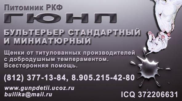 Щенки бультерьера СПб Щенки бультерьера СПб