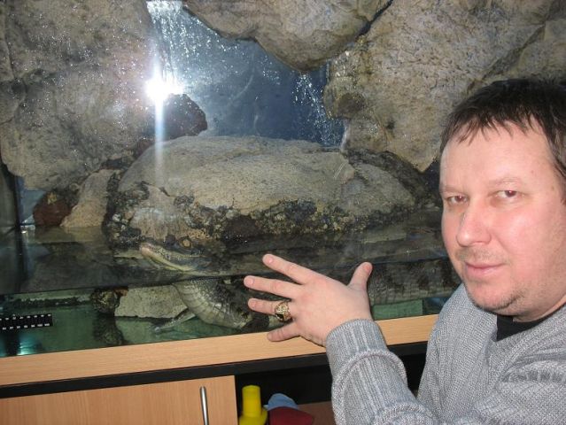 Продаю Каймана Продаю Каймана