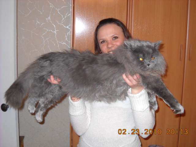 вязка вязка
