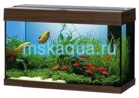 куплю аквариум на 130л недорого куплю аквариум на 130л недорого