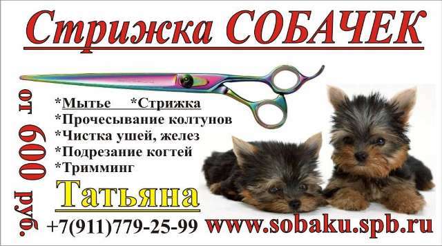 Стрижка собак от 600руб! Стрижка собак от 600руб!