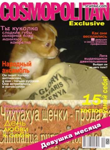 Питомник.Чихуа щенки и подрощенные. Питомник.Чихуа щенки и подрощенные.