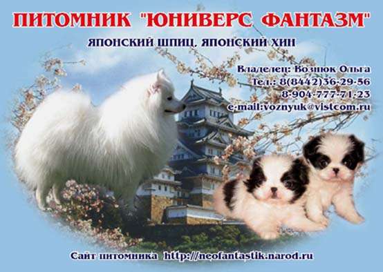 Щенки японского шпица и японского хина Щенки японского шпица и японского хина