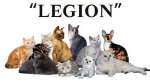Клуб Любителей Кошек «LEGION» предлагает породистых котят.