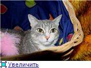 Мишелька ишет хозяина! Мишелька ишет хозяина!