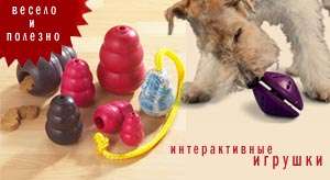 Интерактивные игрушки, лакомства, средства по уходу Интерактивные игрушки, лакомства, средства по уходу