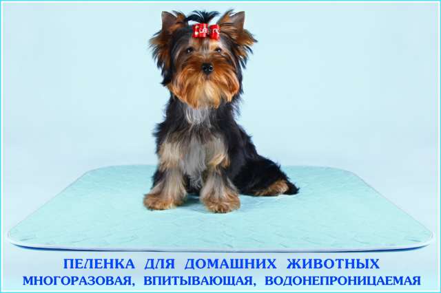 Многоразовые пеленки для собак. Многоразовые пеленки для собак.