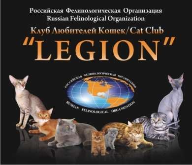 Клуб Любителей Кошек « LEGION» Клуб Любителей Кошек « LEGION»
