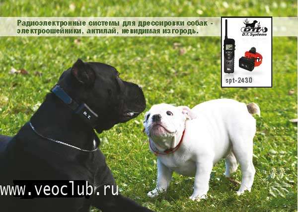 Электроошейники для собак распродажа SALE !!! Бюджетная модель производства D.T.Systems. Электроошейники для собак распродажа SALE !!! Бюджетная модель производства D.T.Systems.