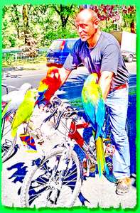 Продажа крупных, средних видов попугаев: Жако, амазоны, какаду, ара, эклектусы др. виды попугаев. 