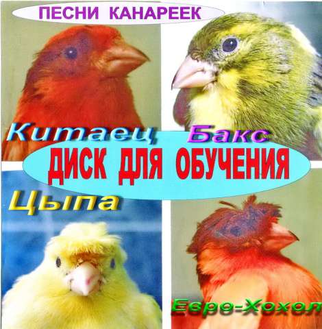 Канарейка за копейку чтоб пела,не ела. Есть у меня Канарейка за копейку чтоб пела,не ела. Есть у меня