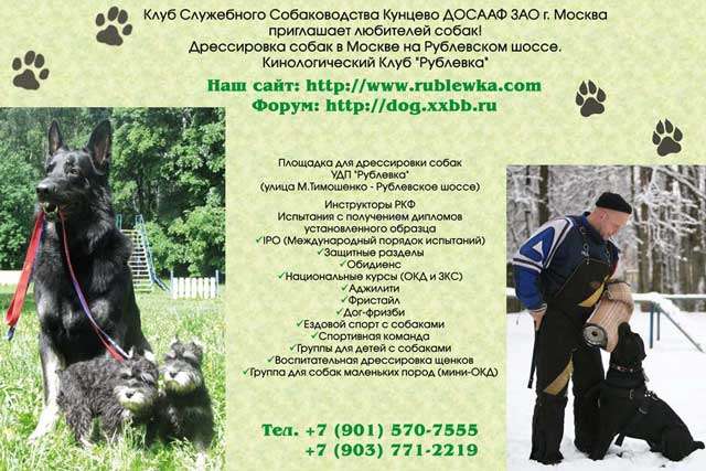 Дрессировка собак в Крылатском-Кунцево, учебно-дрессировочная площадка "Рублевка". Дрессировка собак в Крылатском-Кунцево, учебно-дрессировочная площадка "Рублевка".