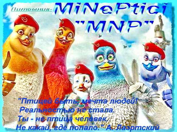 Попугаи из питомника "MNP"- говорящие, ручные - птенцы и взрослые птицы.