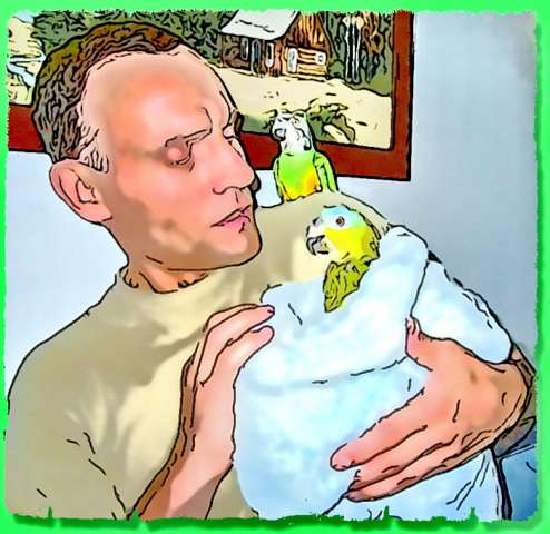 Венисуэльский Амазон - попугай способный к общению и разговору Венисуэльский Амазон - попугай способный к общению и разговору