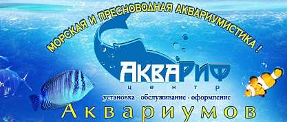 Услуги по аквариумистике Услуги по аквариумистике