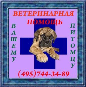 Ветритуал, ветпомощь, отлов животных, усыпление животных, Москва Ветритуал, ветпомощь, отлов животных, усыпление животных, Москва