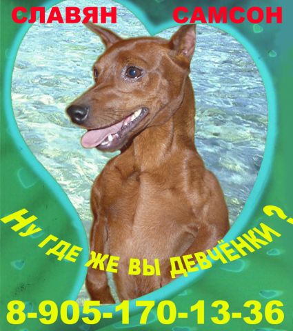 Ищу девченок