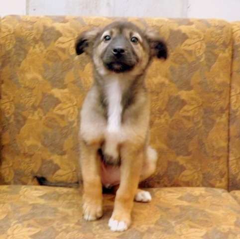 Милая Мишель- в дар! Милая Мишель- в дар!