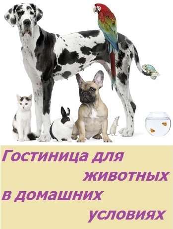 Гостиница для животных в домашних условиях Гостиница для животных в домашних условиях