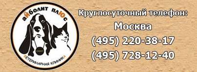 Ветклиника «Айболит Плюс» Ветклиника «Айболит Плюс»