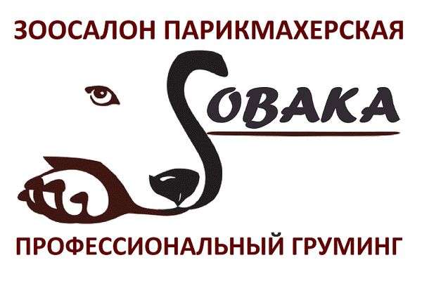 Стрижка собак и кошек в Балашихе Зоосалон "Собака" Стрижка собак и кошек в Балашихе Зоосалон "Собака"