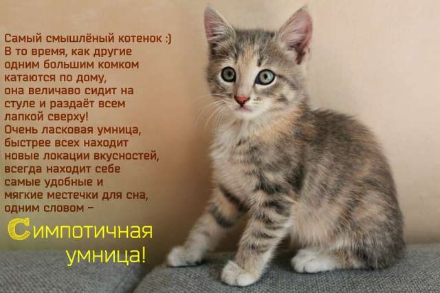 Малышка ищет маму Малышка ищет маму