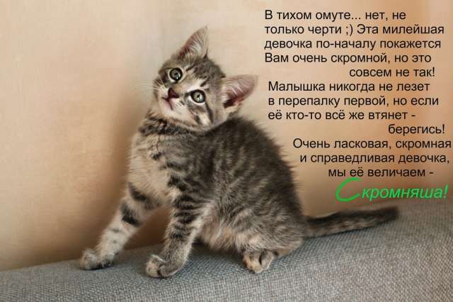 Счастье хочет быть в заботливых руках Счастье хочет быть в заботливых руках