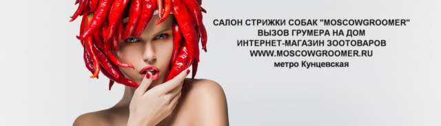 “ 100pets “ интернет – магазин товаров для животных “ 100pets “ интернет – магазин товаров для животных