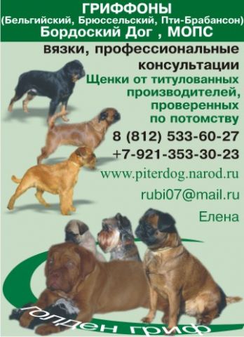 Грифоны Грифоны
