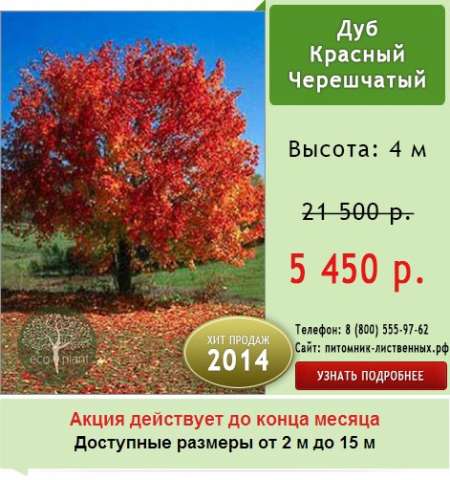 Лиственные Деревья. Скидка 70%! Лиственные Деревья. Скидка 70%!