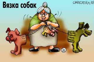 Инструктор по вязке собак Инструктор по вязке собак