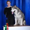 Услуги Хендлеров Услуги Хендлеров