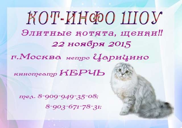 КОТ-ИНФО ШОУ!!!!! ВЫСТАВКА ПРОДАЖА! КОТ-ИНФО ШОУ!!!!! ВЫСТАВКА ПРОДАЖА!