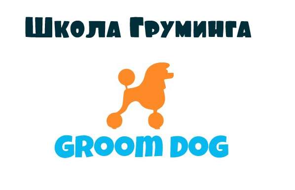 Курсы стрижки собак и кошек Курсы стрижки собак и кошек