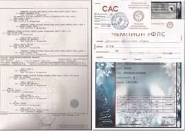 Курье РКФ.Помощь в оформлениидокументов на собак. Курье РКФ.Помощь в оформлениидокументов на собак.