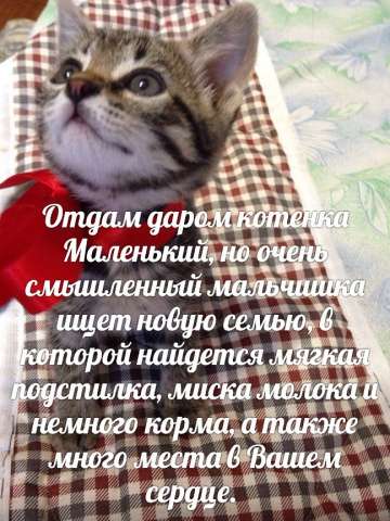 Малыш в добрые руки Малыш в добрые руки