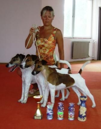 продаются щенки г/ш фокстерьера, продаются щенки г/ш фокстерьера,
