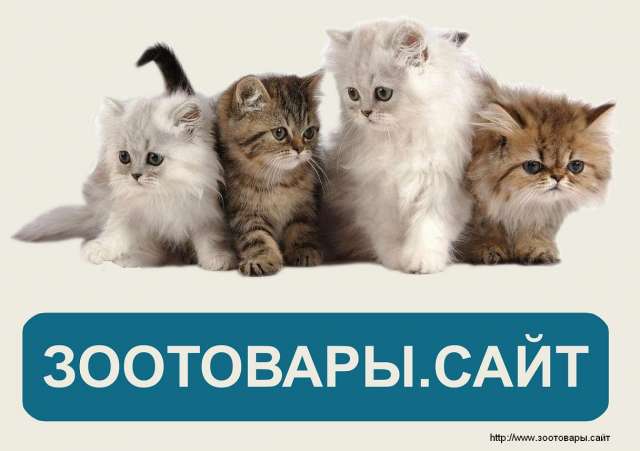 tel89080130314@yandex.ru Интернет магазин товаров для животных Зоотовары.сайт tel89080130314@yandex.ru Интернет магазин товаров для животных Зоотовары.сайт