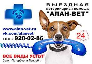 Ветеринар на дом Ветеринар на дом