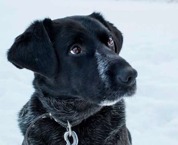 ЛИЛУ в дар ЛИЛУ в дар