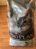 Корм для кошек сухой Pro Plan 10 кг
