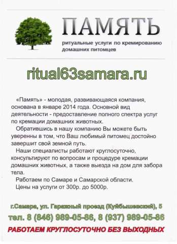 кремация животных ПАМЯТЬ кремация животных ПАМЯТЬ