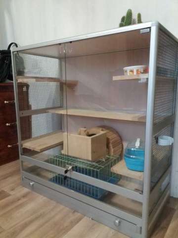 Клетка Клетка