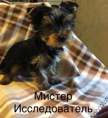 ????????♂ Шерлок Холмс и ????????⚕доктор Ватсон ищут того, кому нужна любовь и радость ????????♂ Шерлок Холмс и ????????⚕доктор Ватсон ищут того, кому нужна любовь и радость