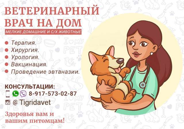 Ветеринарный врач на дом Москва и Московская область Ветеринарный врач на дом Москва и Московская область