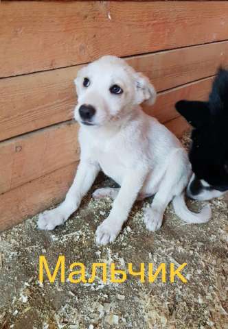 В очень добрые ручки В очень добрые ручки