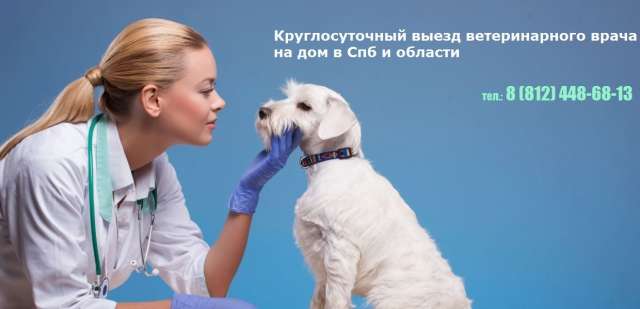 Ветклиника в Санкт-Петербурге