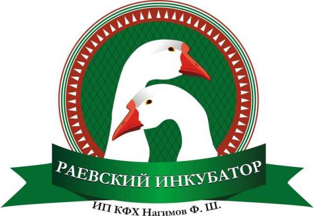 Гусята Цыплята Раевский Инкубатор