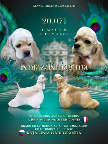 Кокерята Кокерята